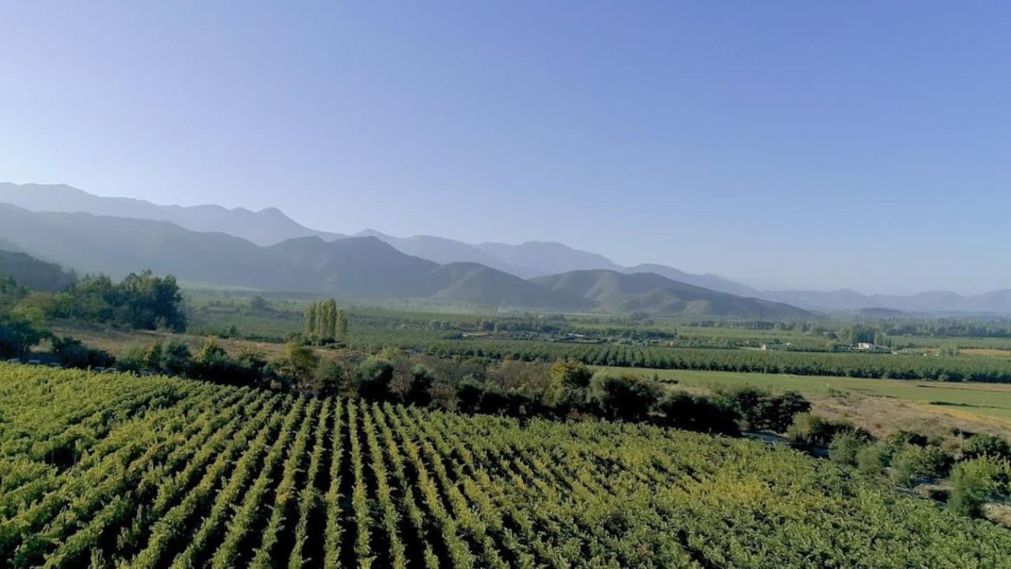 Vina Lof - Maipo Valley Bed & Breakfast In Winery Paine 외부 사진