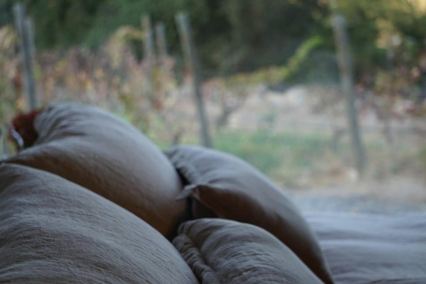 Vina Lof - Maipo Valley Bed & Breakfast In Winery Paine 외부 사진