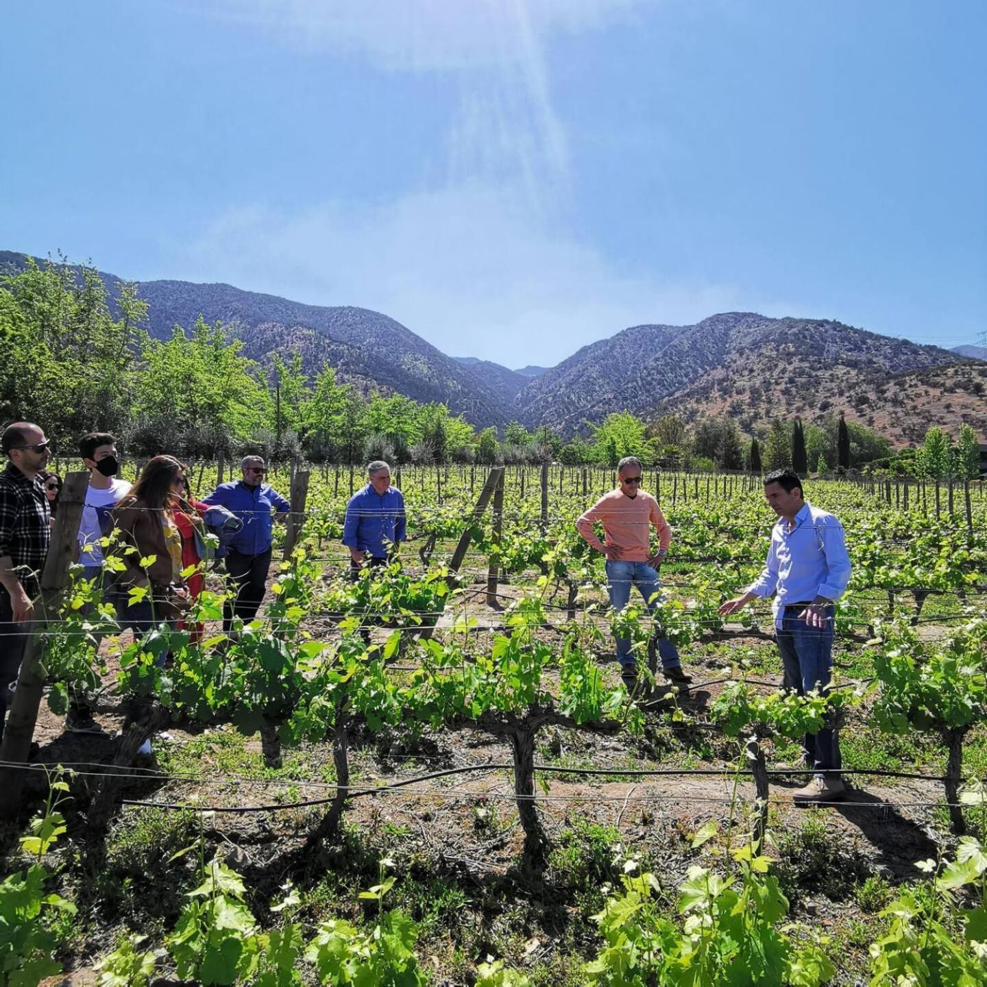Vina Lof - Maipo Valley Bed & Breakfast In Winery Paine 외부 사진