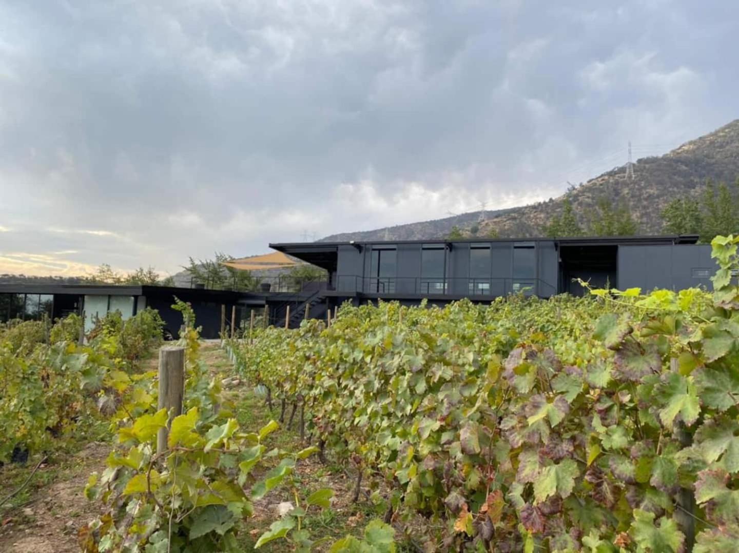 Vina Lof - Maipo Valley Bed & Breakfast In Winery Paine 외부 사진