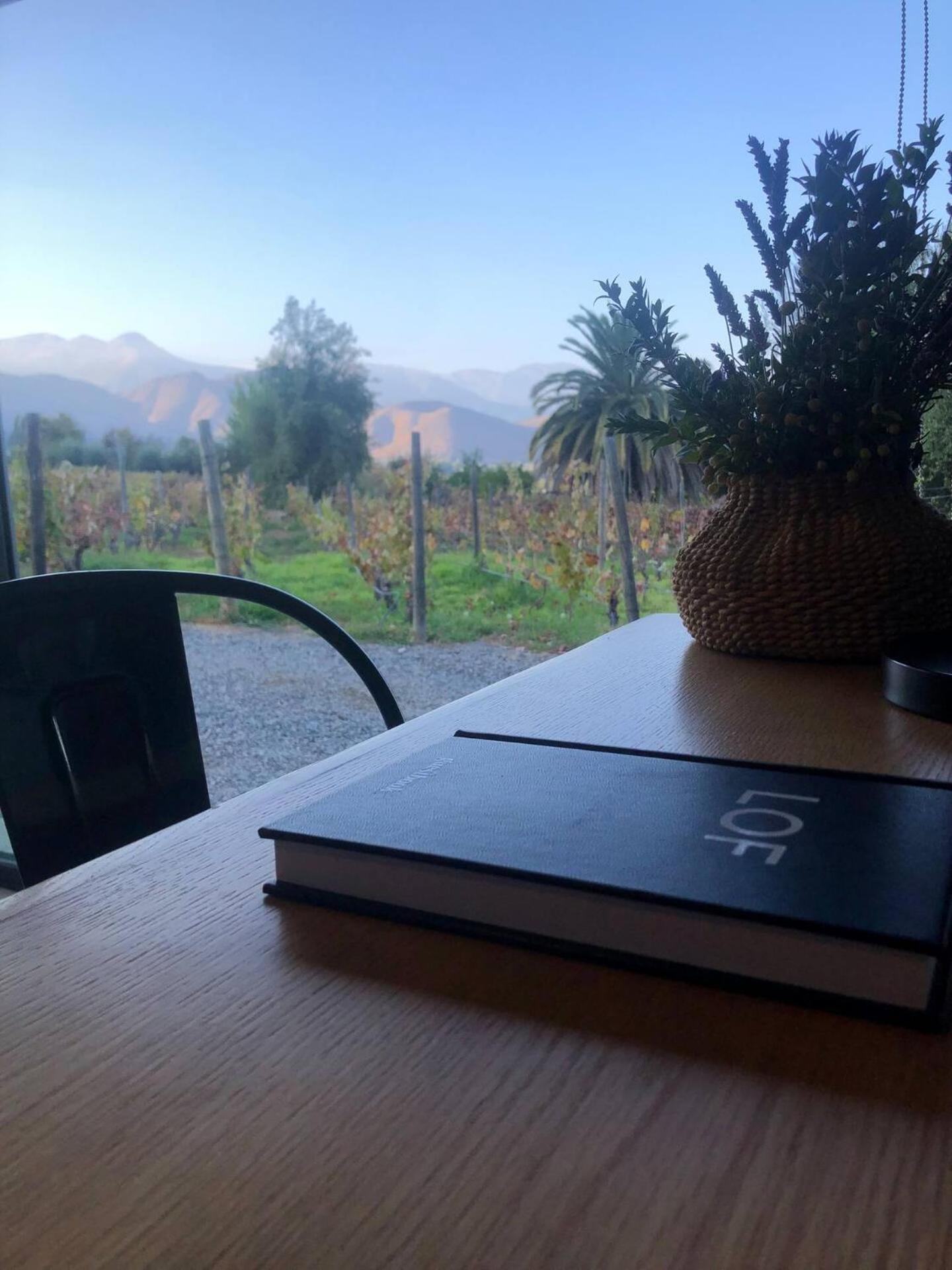 Vina Lof - Maipo Valley Bed & Breakfast In Winery Paine 외부 사진