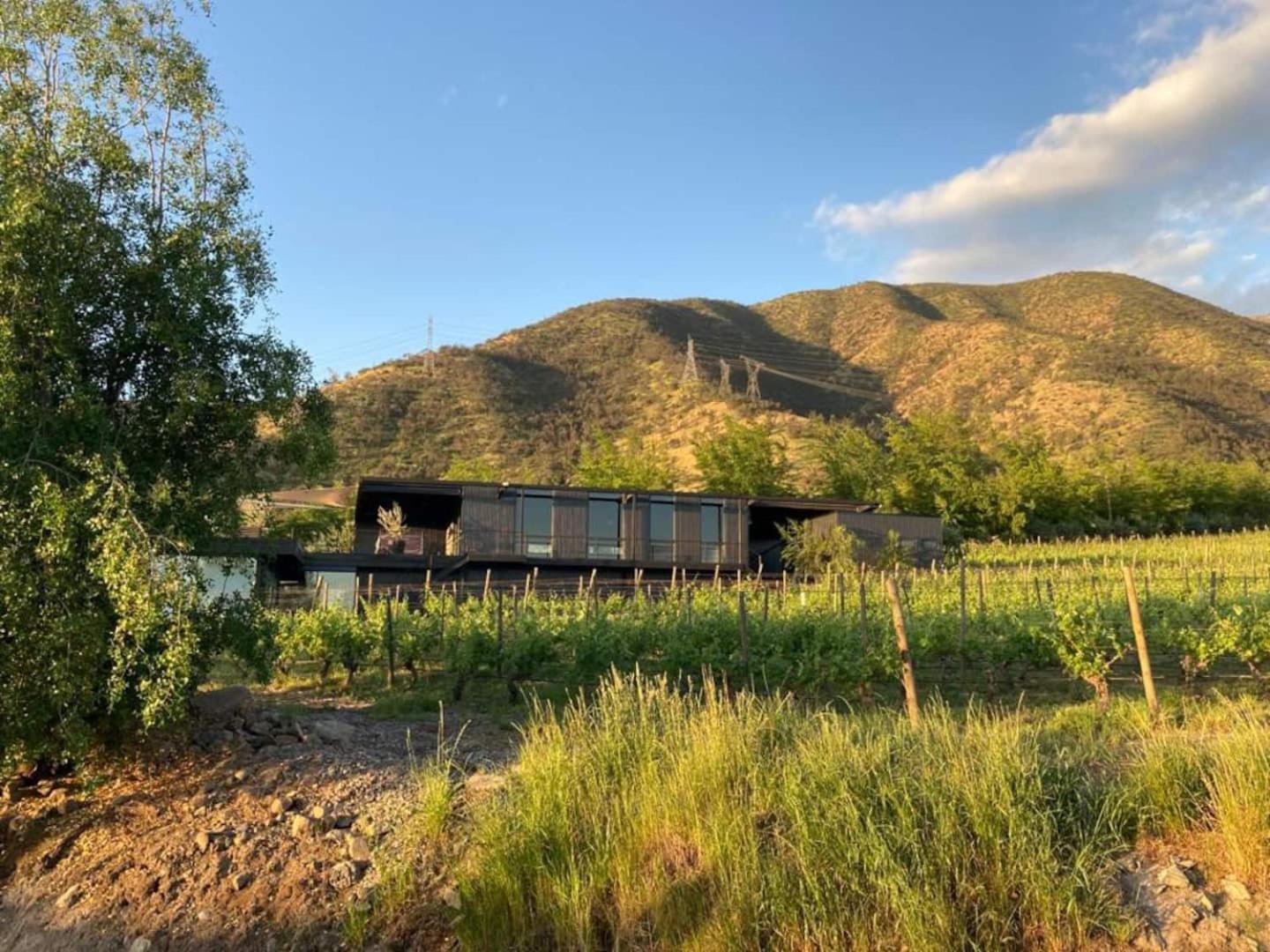 Vina Lof - Maipo Valley Bed & Breakfast In Winery Paine 외부 사진